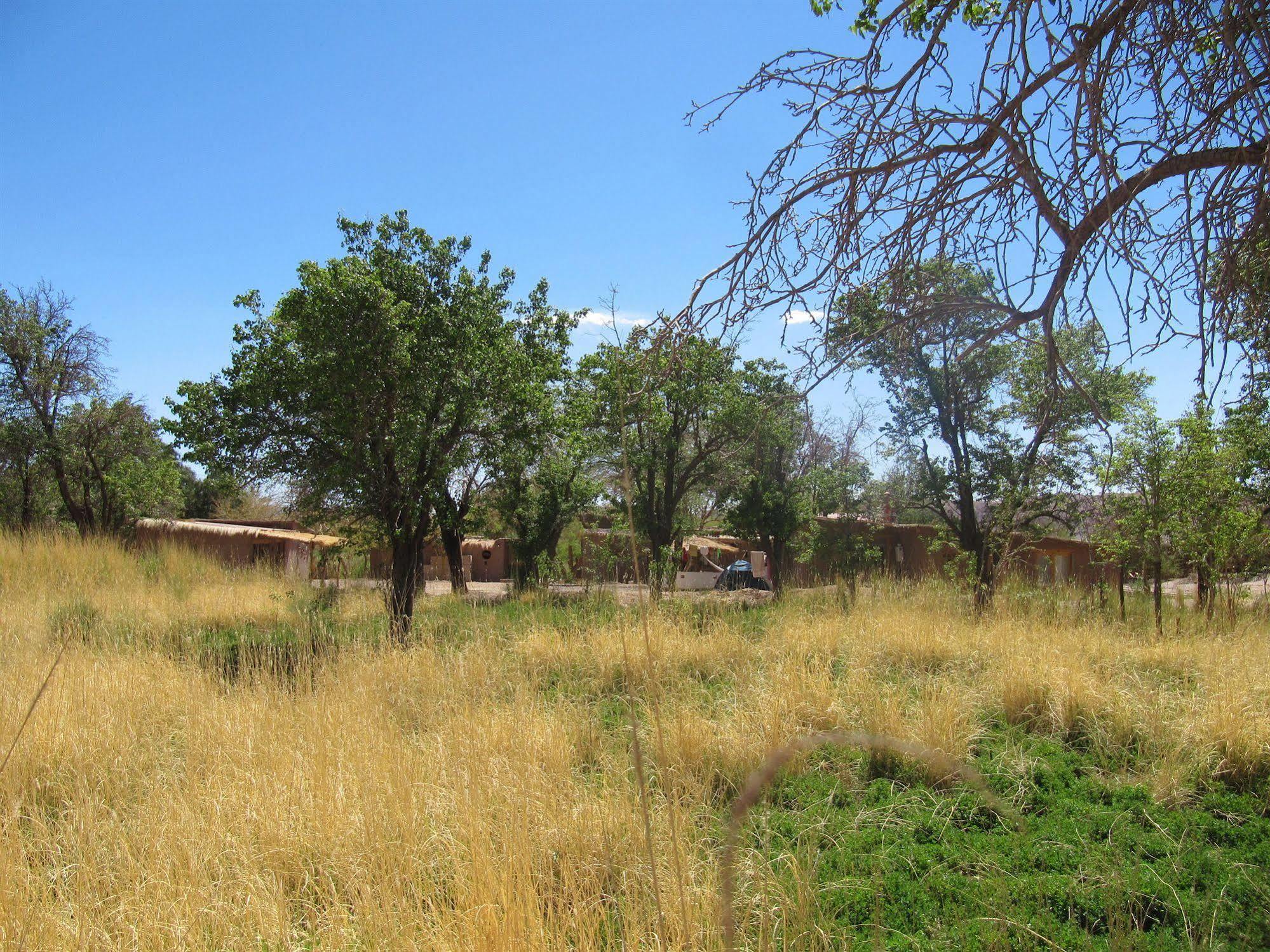 Rancho Quitapenas Bungalows San Pedro de Atacama Kültér fotó