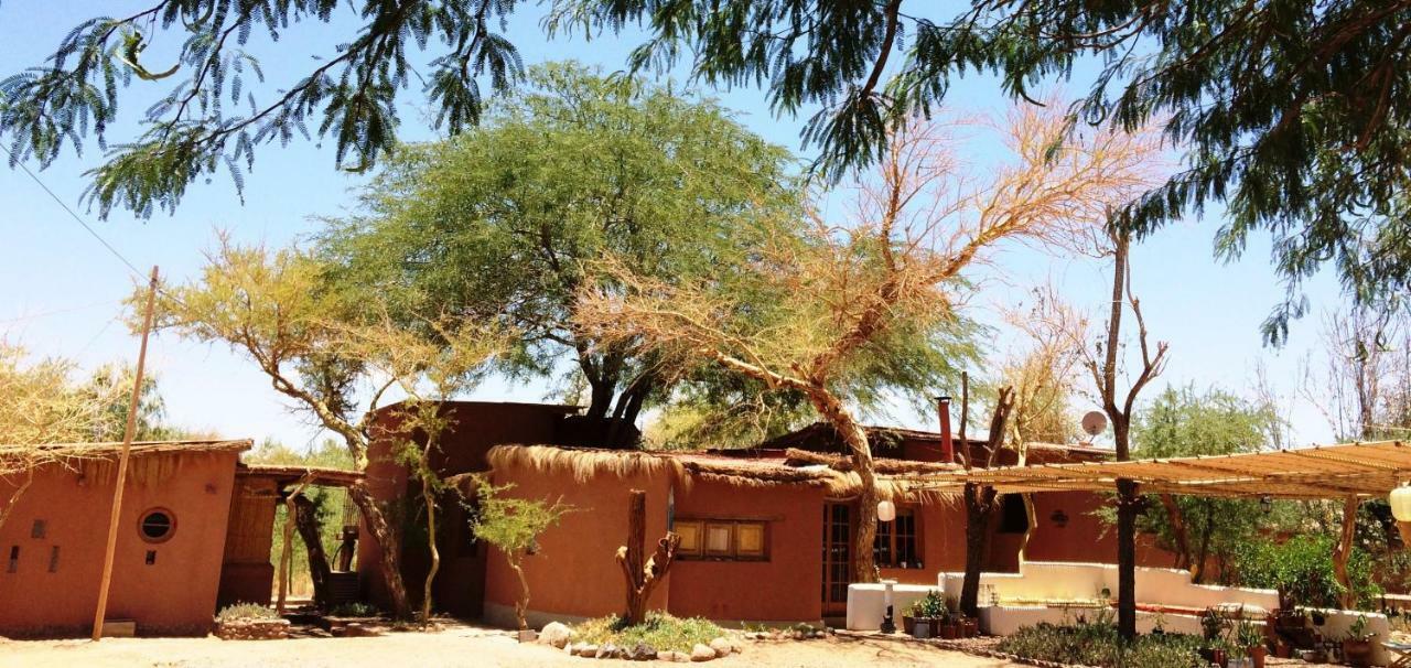 Rancho Quitapenas Bungalows San Pedro de Atacama Szoba fotó